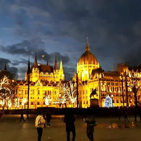 公寓 Downtown Acacia Str *