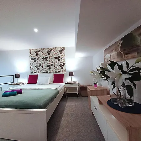 Laszlo's Spacious In Downtown Budapest