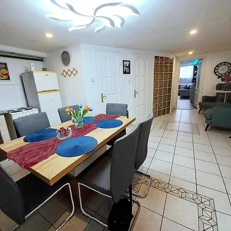 Laszlo's Spacious In Downtown Apartment