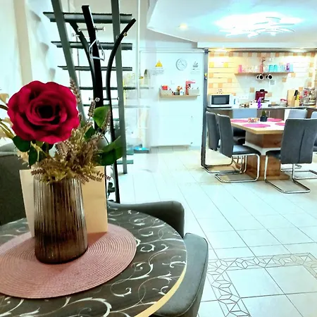 Downtown Acacia Str 公寓 布达佩斯