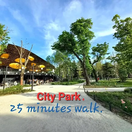 Downtown Acacia Str *